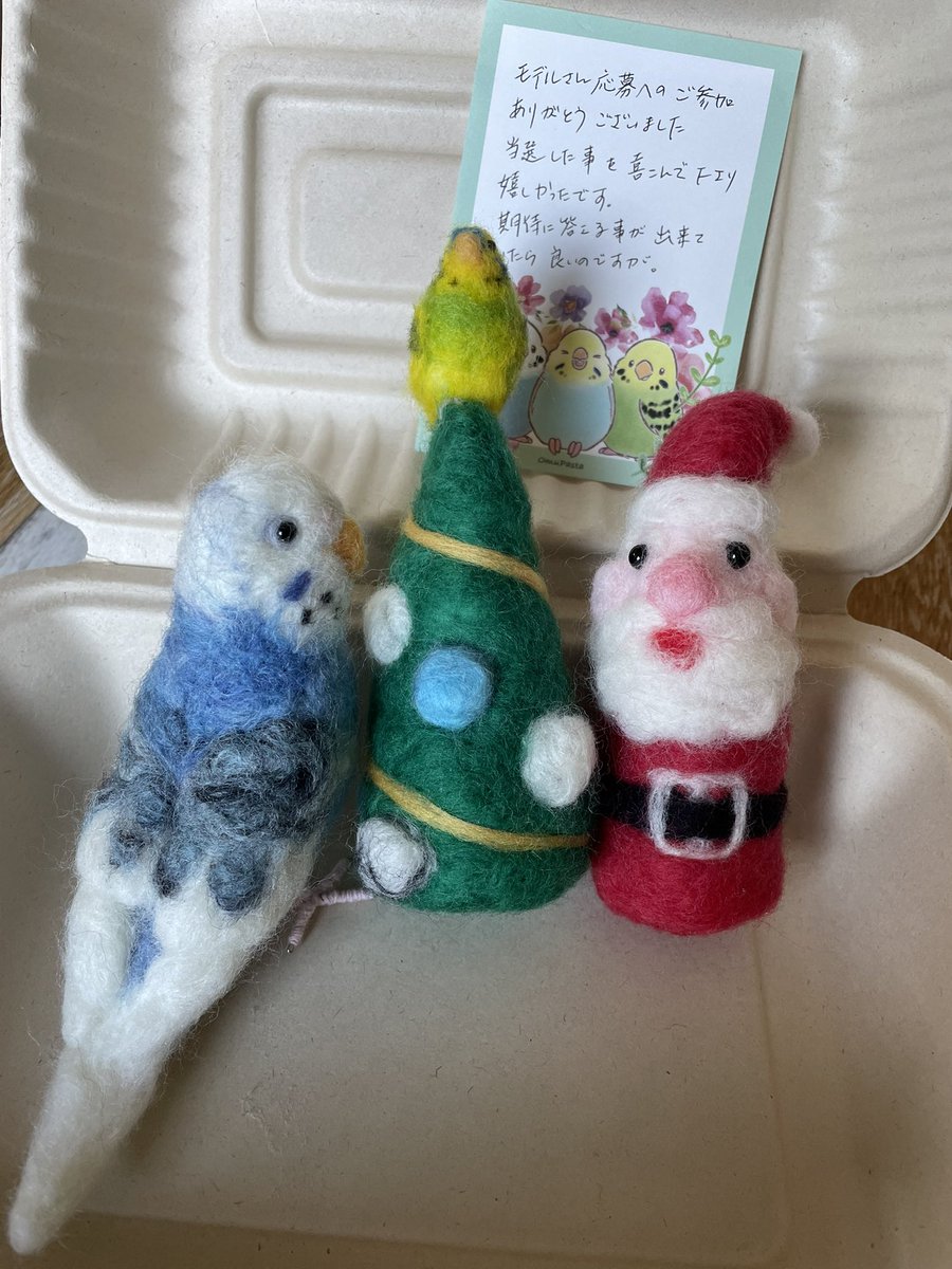 ˊᗜˋ*)⸝♥️🦜てんちゃんが帰って来てくれましたー✨可愛い