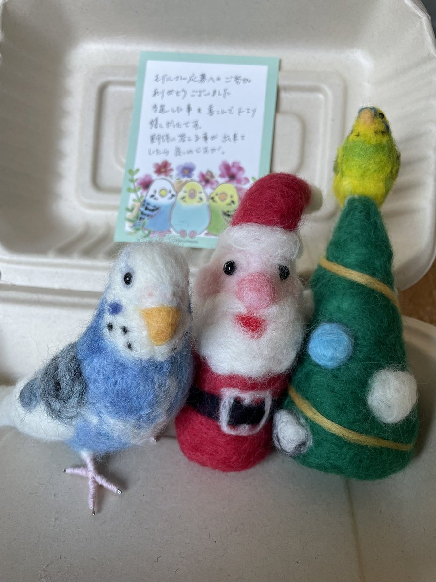 ˊᗜˋ*)⸝♥️🦜てんちゃんが帰って来てくれましたー✨可愛い