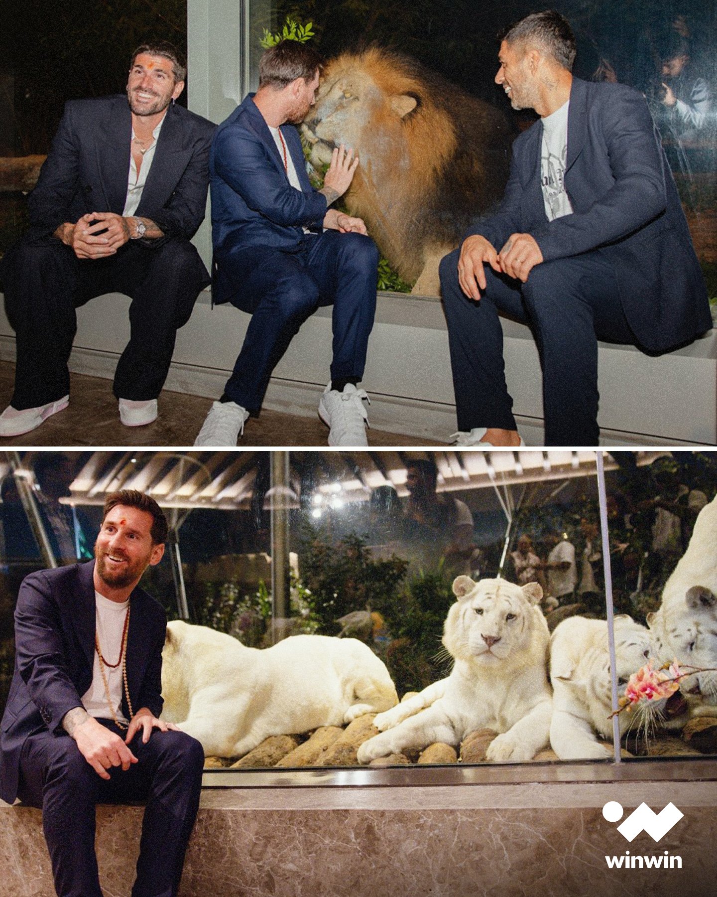 ميسي وسواريز ودي بول زاروا مركزًا لإنقاذ الحياة البرية في الهند، حيث تجوّلوا في المنشأة وشاركوا في الطقوس التقليدية. ولشكر ميسي على زيارته، أطلق المالكون اسم «ليونيل» على شبل أسد تكريمًا له 