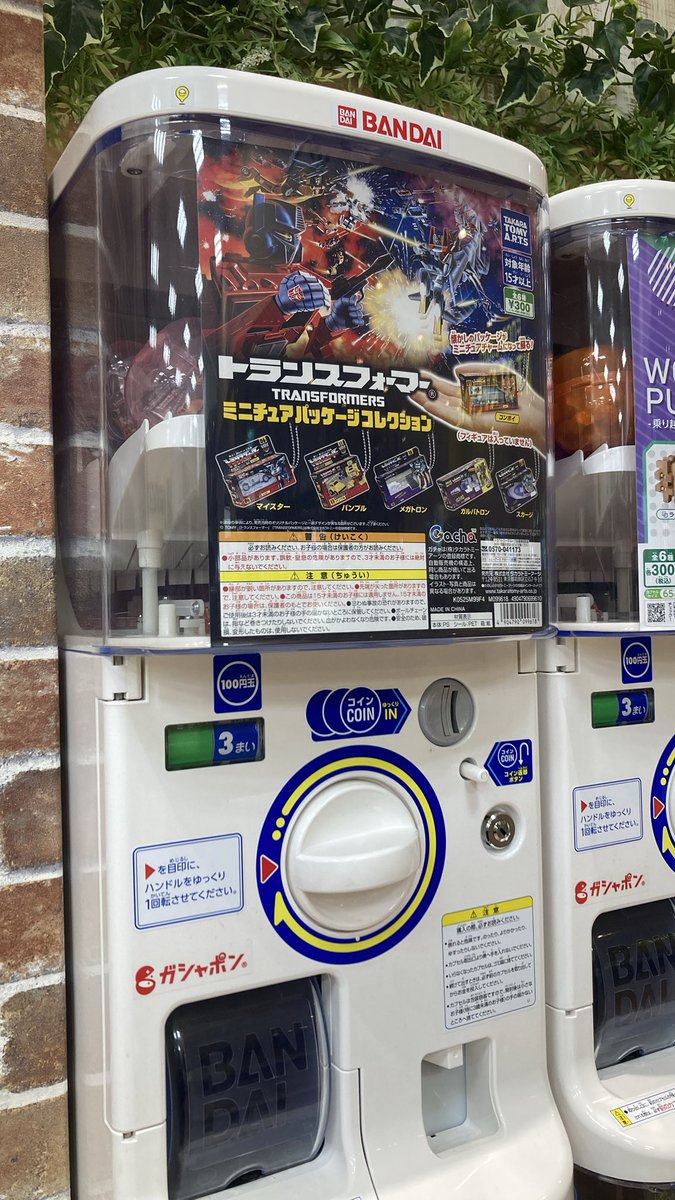 空きコマと昼休み使ってぶらぶらしてたらあったぞ〜^ 選ばれたのは