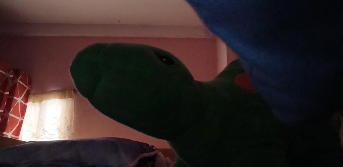 woke up to this cutie guarding me again 🥺