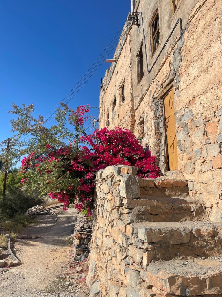 و أن أعادوا لنا الأماكن...
فمن يُعيد لنا الرفاق...

#اللهم نسألك صفاء النية
ونعوذ بگ من كل شراً وبلية

#صباح_الخير 
#صبا