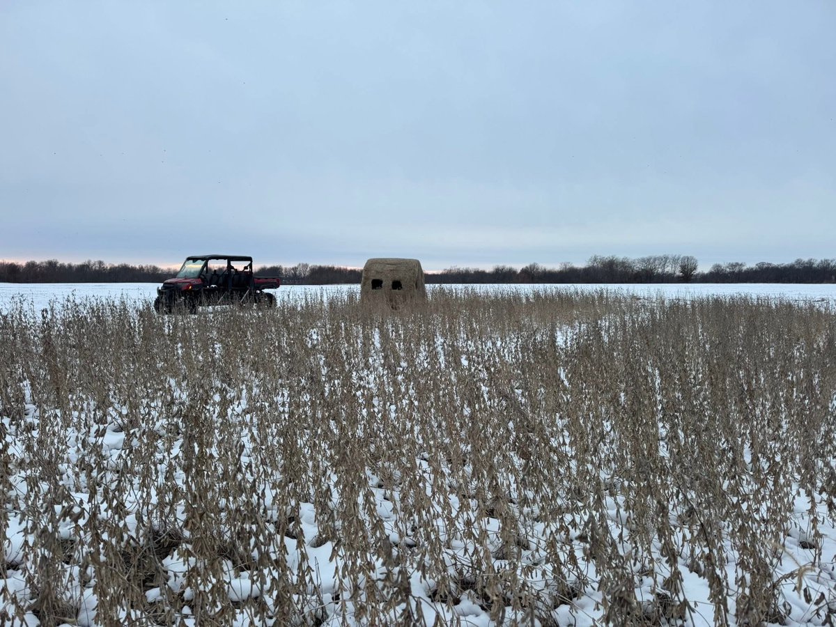 ILWhitetails's tweet photo. A few of our late season setups over soybeans, corn and brassica plots. https://t.co/5WBQhoN6Ki