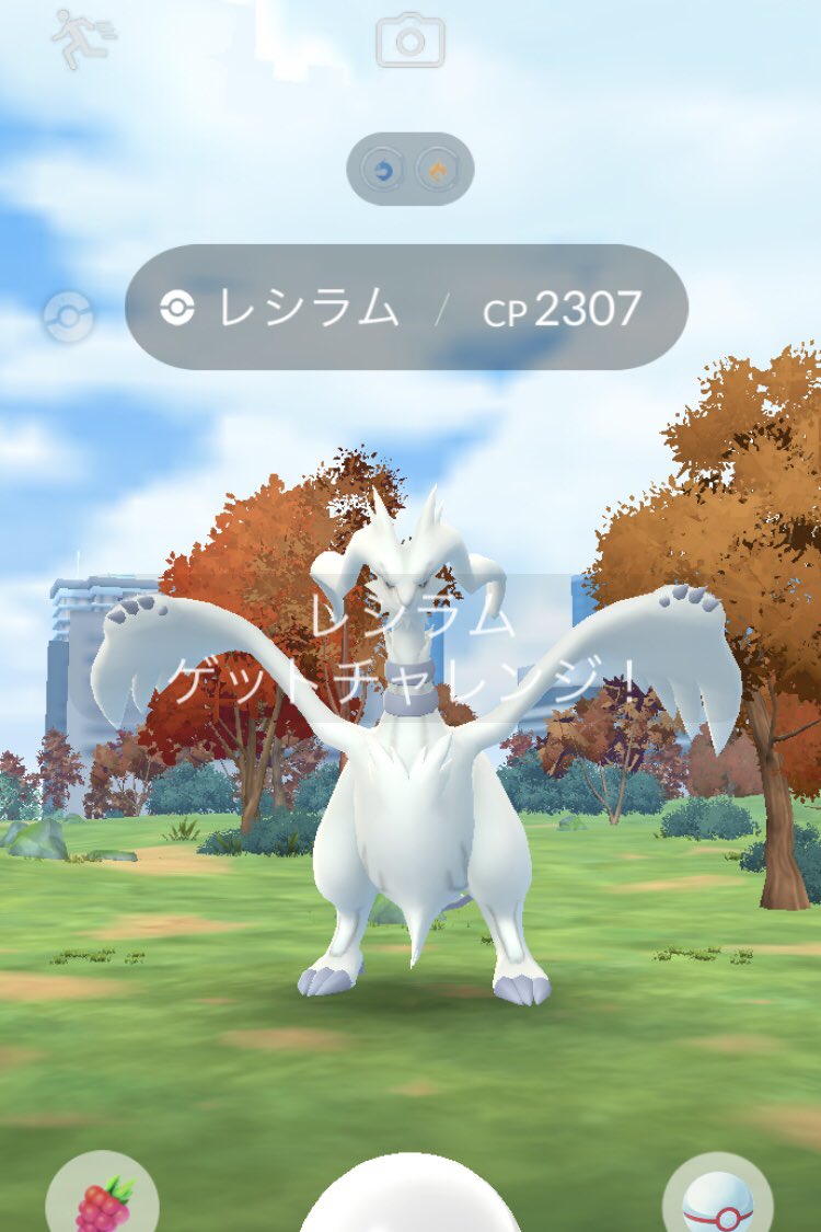 白うさぎ (@gtn555) / Posts / X