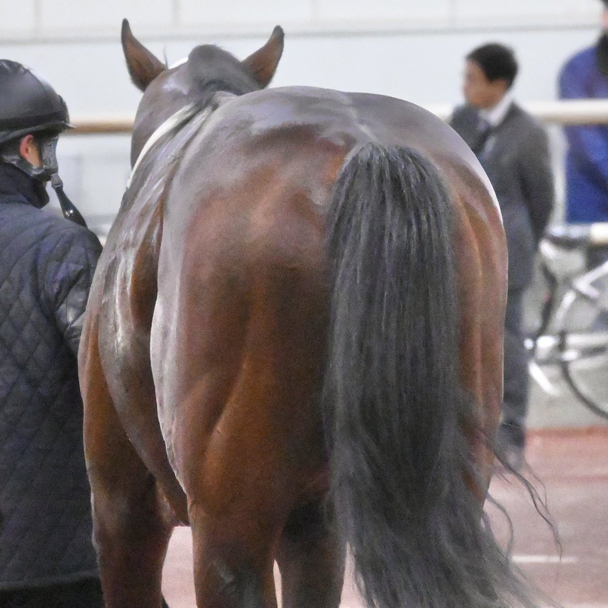 鉄 薄亞🍈🍸 (@Kuro_gaN3_hAcua) / Posts / X