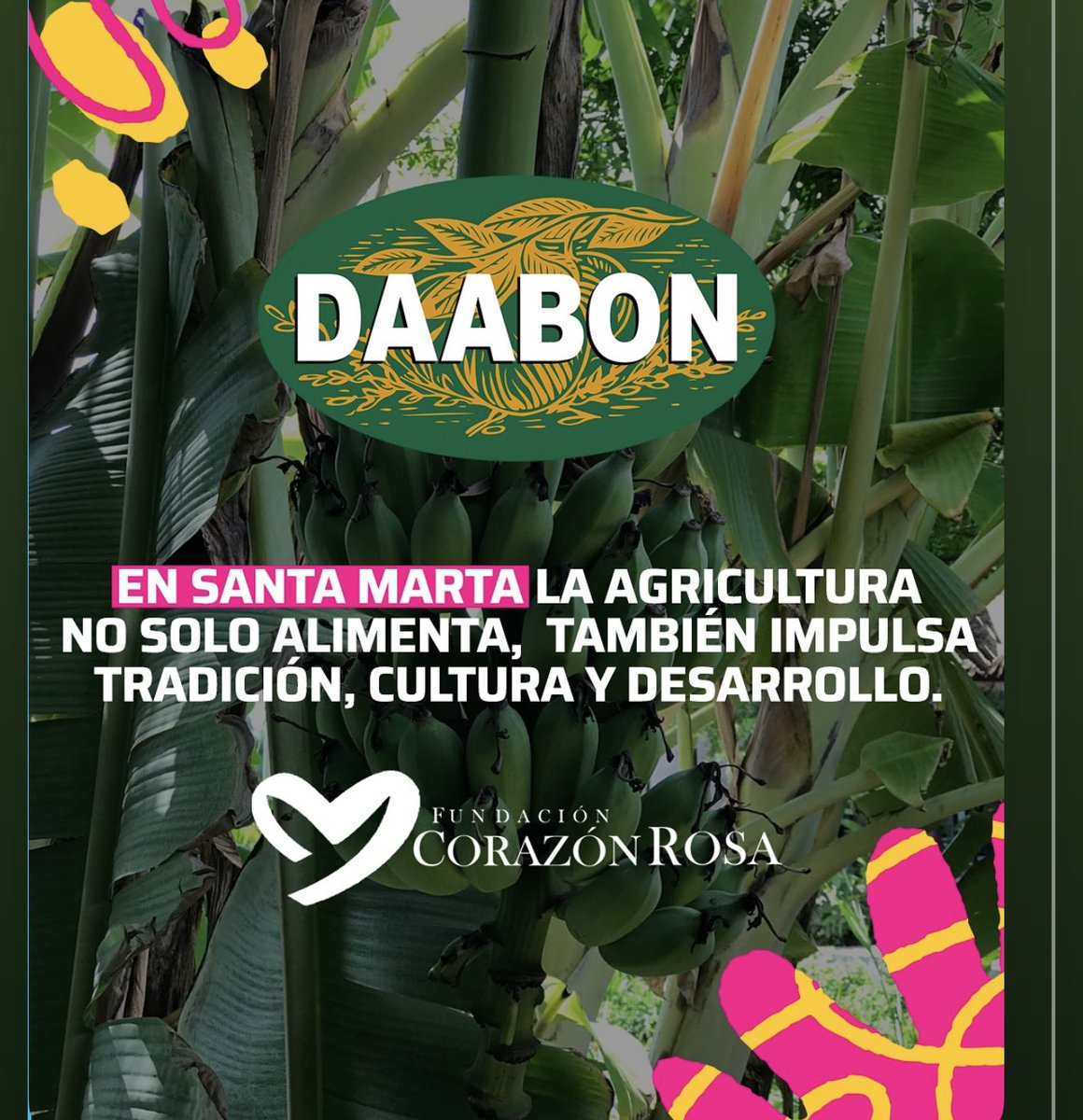 FundaciónCorazónRosa tweet media