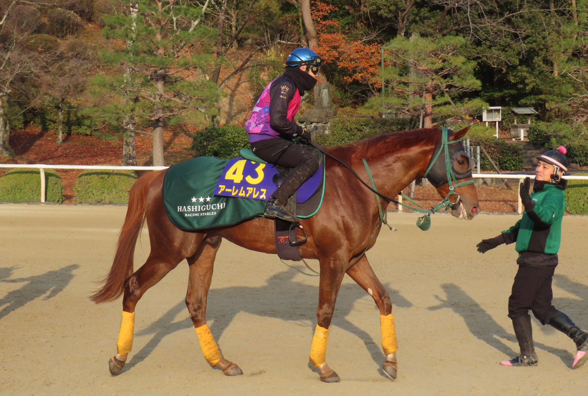 よしお（Y.OTA） (@Yoshioeuphonium) / Posts / X