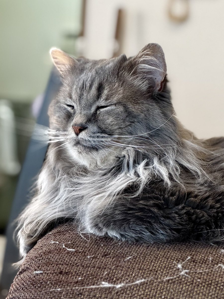 うい 雨衣1/7スケールフィギュアが「F:NEX」から発売！- 最新情報 - 雨衣