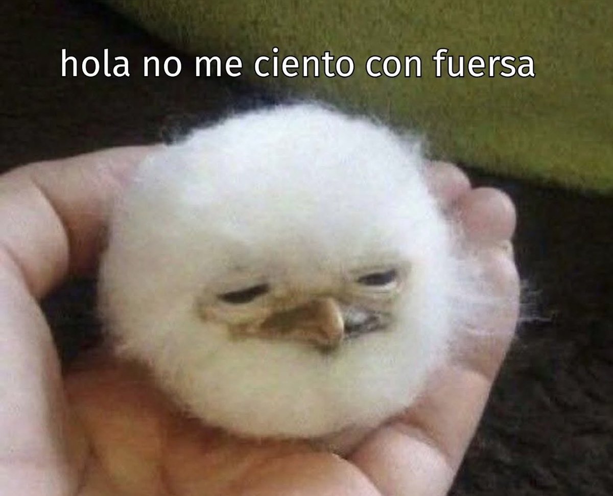 nöelle (@faerienoelle) on Twitter photo 