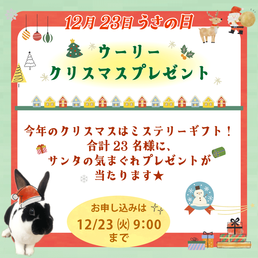 WOOLY（ウーリー） ㅣ うさぎの食彩工房 tweet media