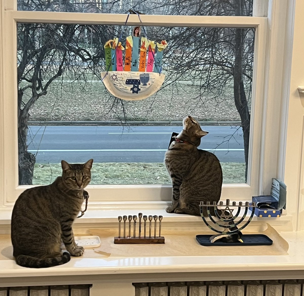 Jennifer Sey tweet media