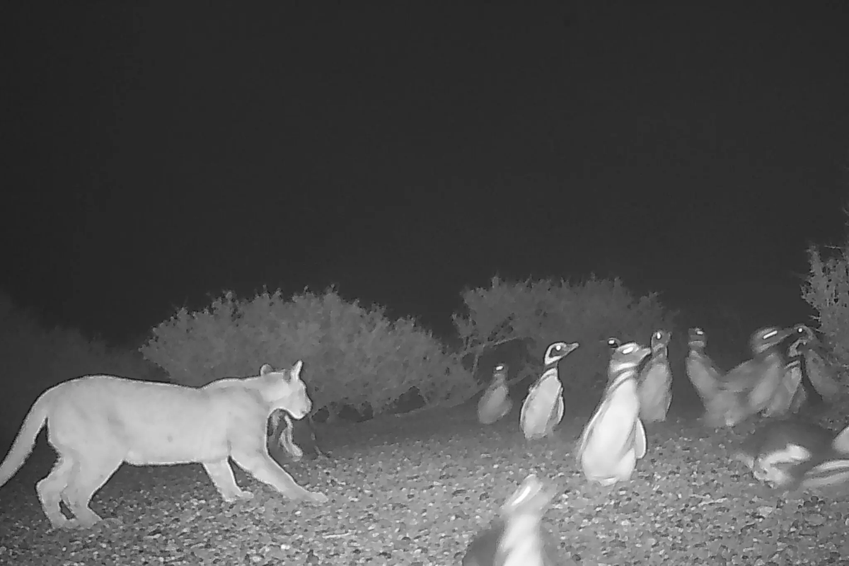 Michael Roston tweet media