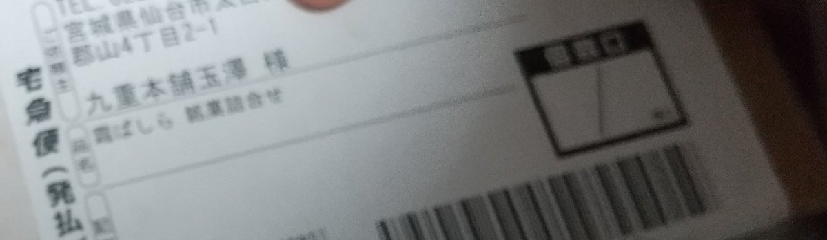 霜ばしら〜！！