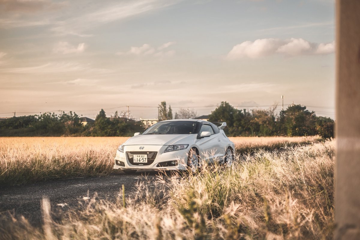 daiki (@daikimotomoto) / Posts / X