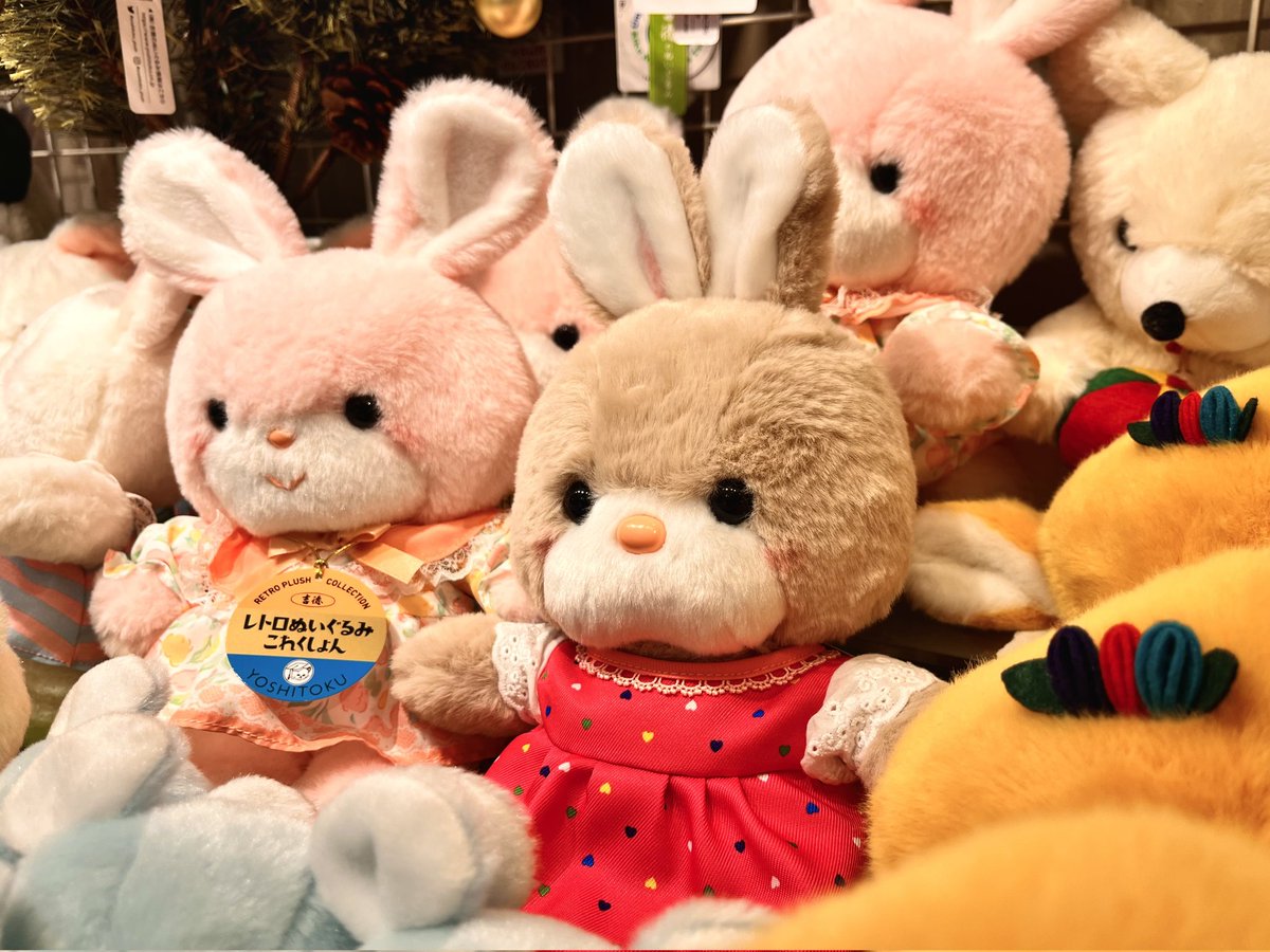 ぬいぐるみの童心【公式】🥺 (@Dousin_kawaii) / Posts / X