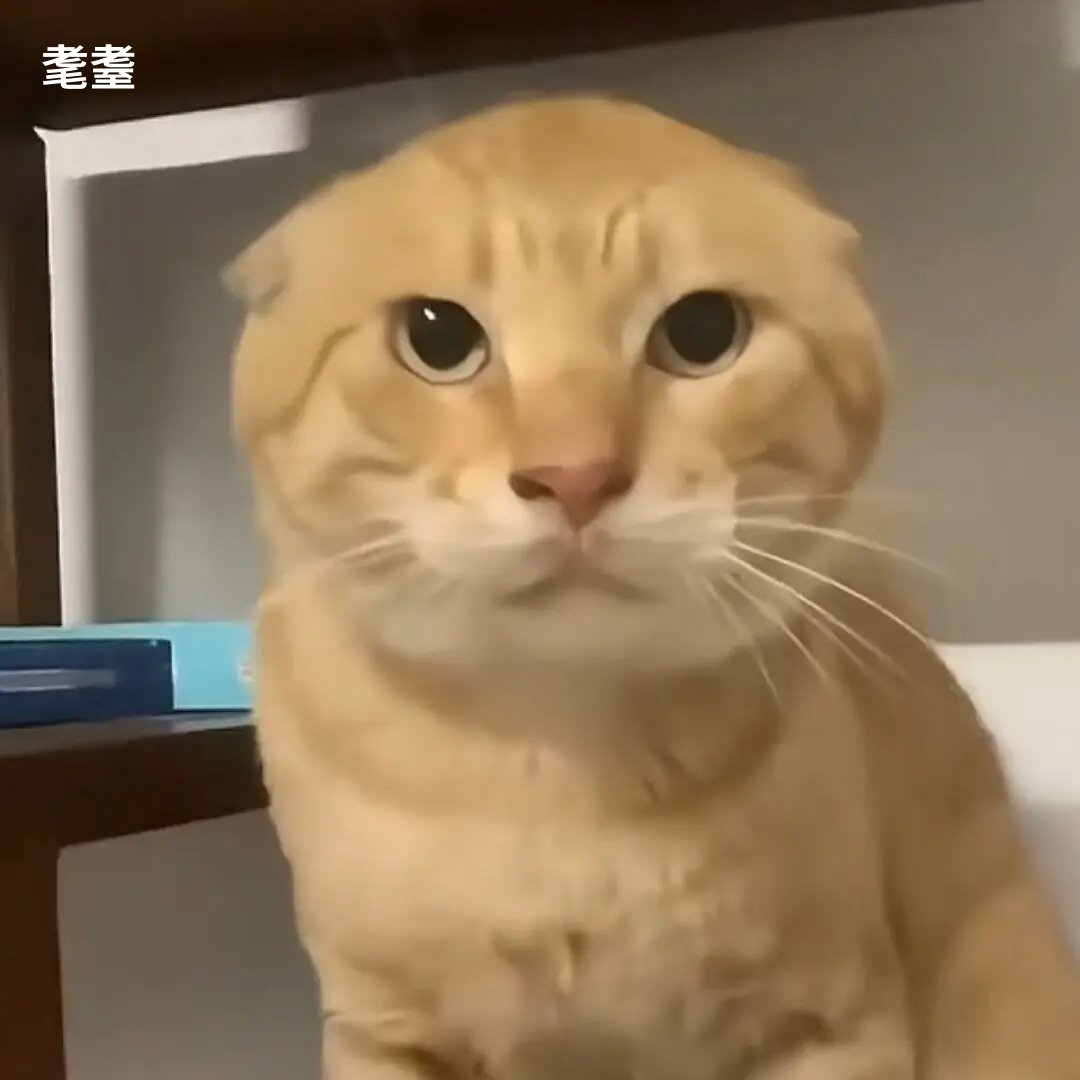 具體方式就是把這幾個知名的形象的圖片和提示詞一起放到Medeo裡面。
懶得自己找圖片的話,可以用我標註好的