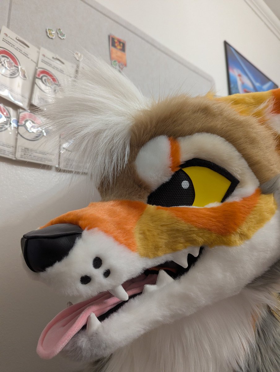 Pumpkin 🎃 tweet media