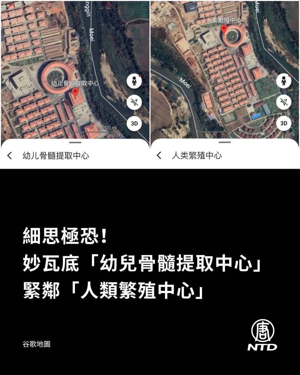 股海航行靠剁手 tweet media