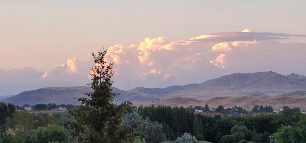 thinking of next summer and who I'll be