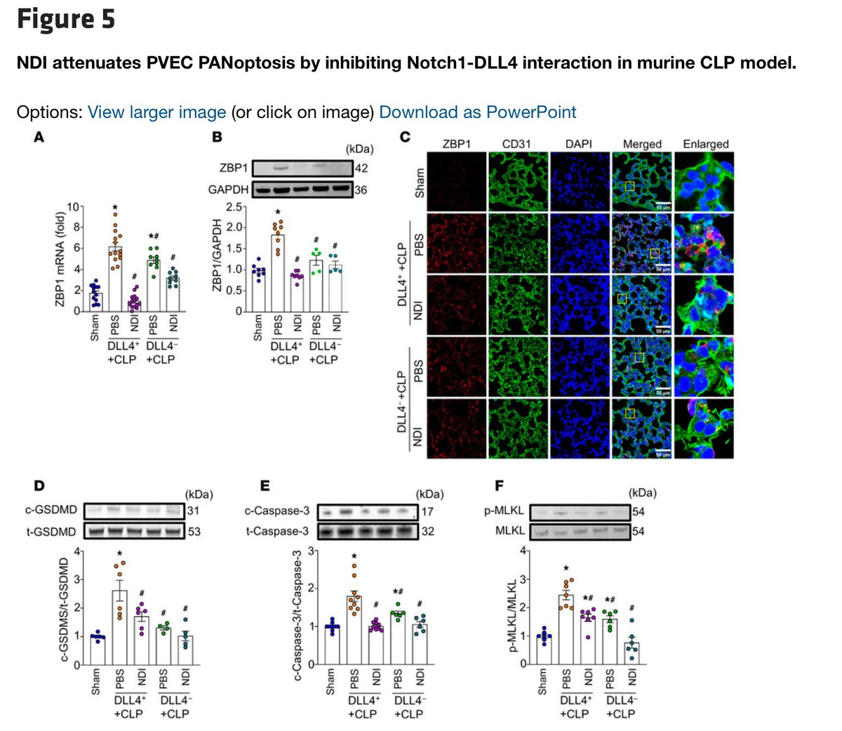 Alok Jha tweet media