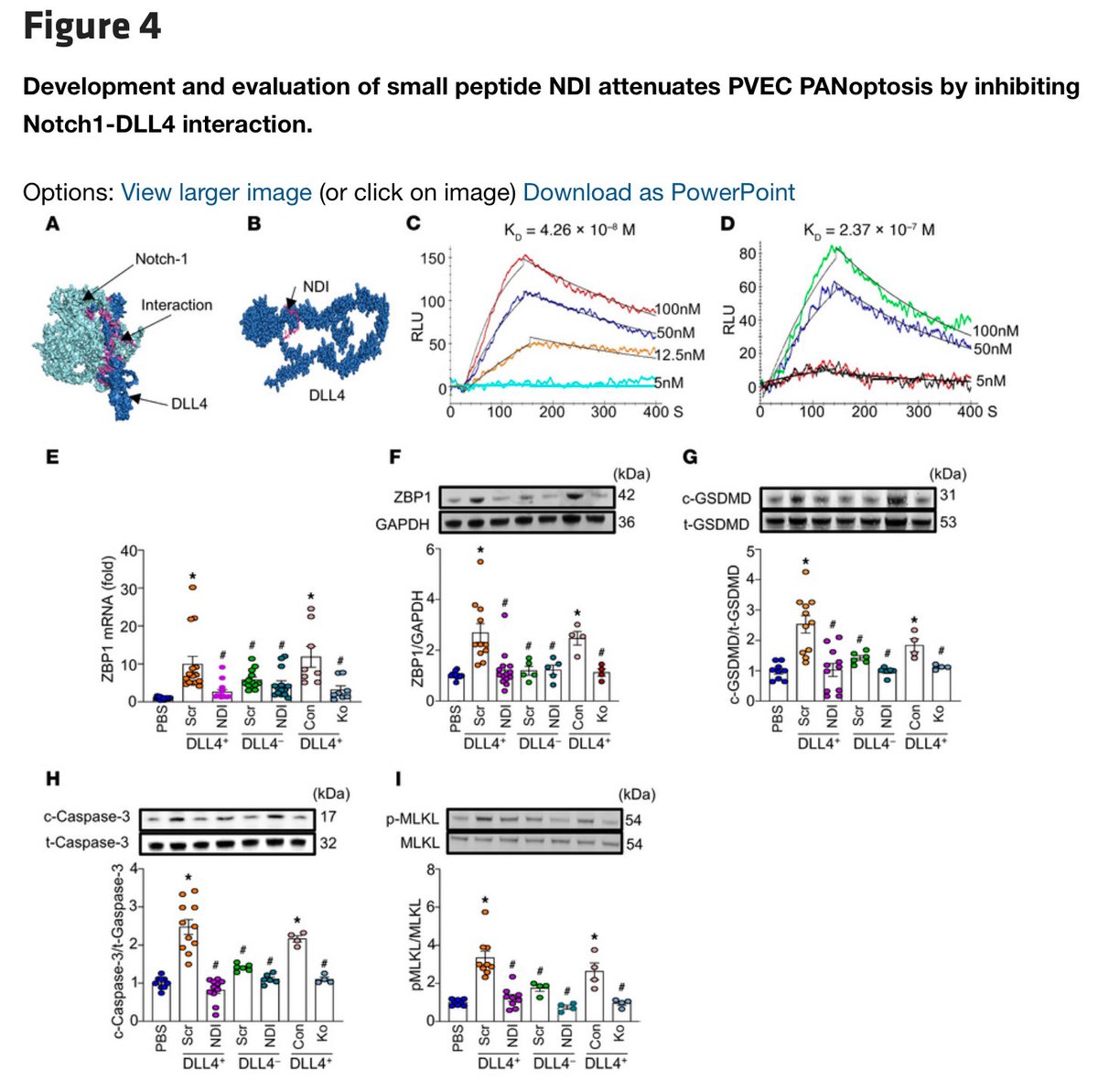Alok Jha tweet media