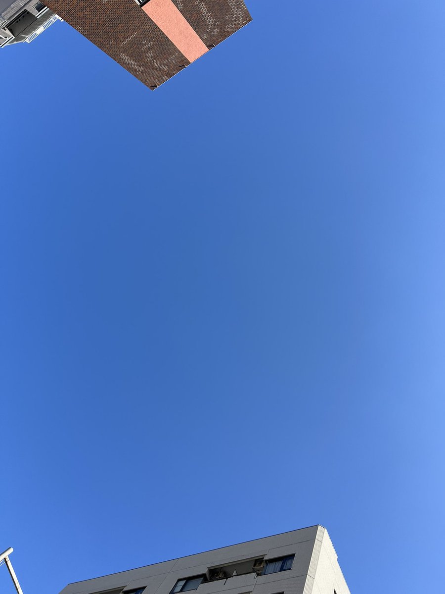 嬉しい〜☺️
今日は…とってもいい天気ふち☀️👣