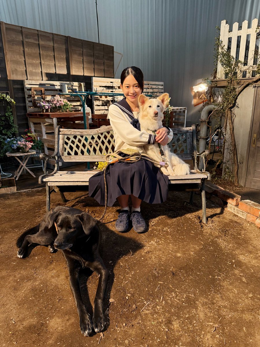 ZOO (@zoo_japan) / Posts / X