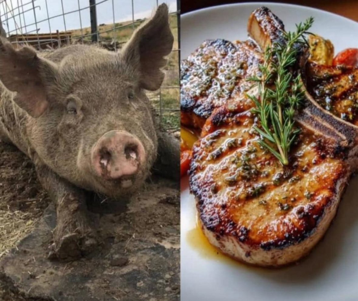 dr_katumwa's tweet image. True meaning of inner beauty 😂😂