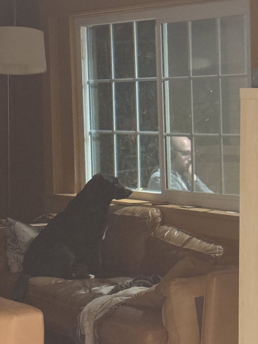 Sophia Benoit tweet media