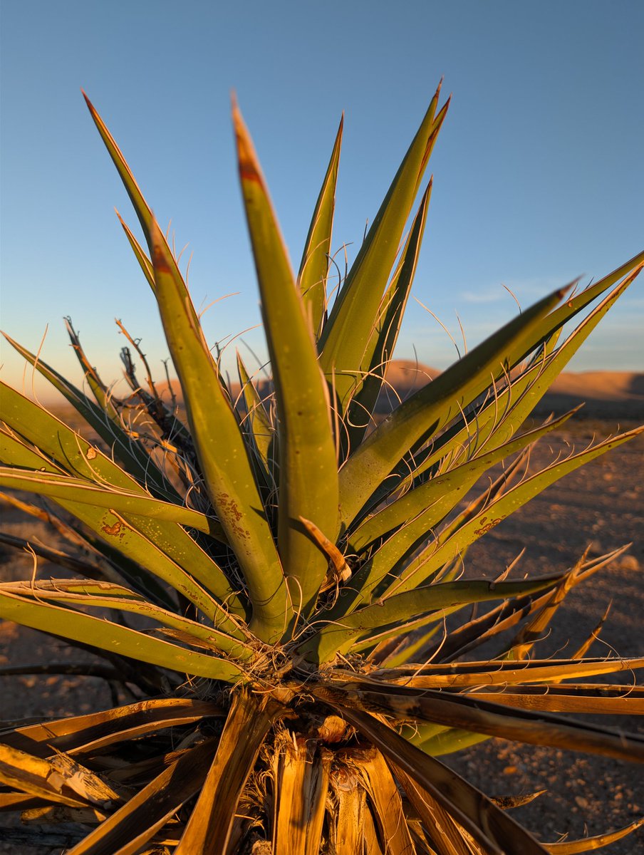 A simple ride can change your whole mood