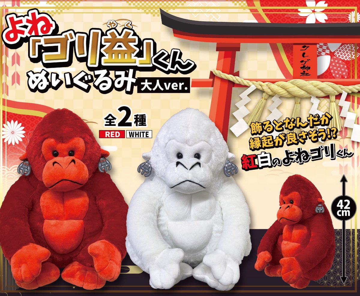 めちゃくちゃ急ですが… 本日から各店舗で登場します！ 入荷店舗は