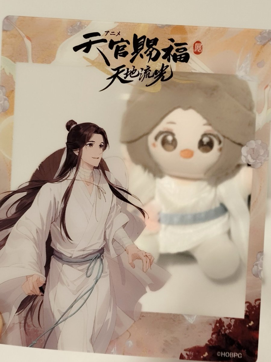 使ってみました