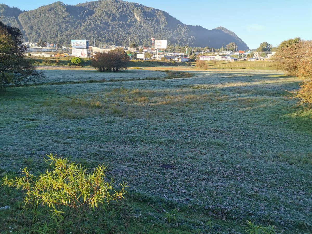 Durante el amanecer de hoy #Martes, 16 de #diciembre de 2025, se registró una helada en San Cristóbal de las Casas #Chiapas.

La temperatura mínima registrada por <a href="/ConaguaChiapas/">Conagua Chiapas</a> fue de 4.5 °C en la estación H. Puente Morelos y 4.8 °C en el Obs SCLC.

Fotos de <a href="/NavarroLang/">LANG</a>