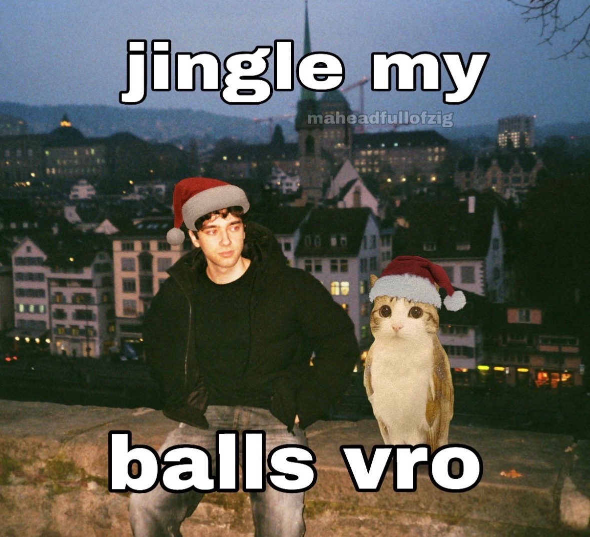 raccoon aesthetic. tweet media