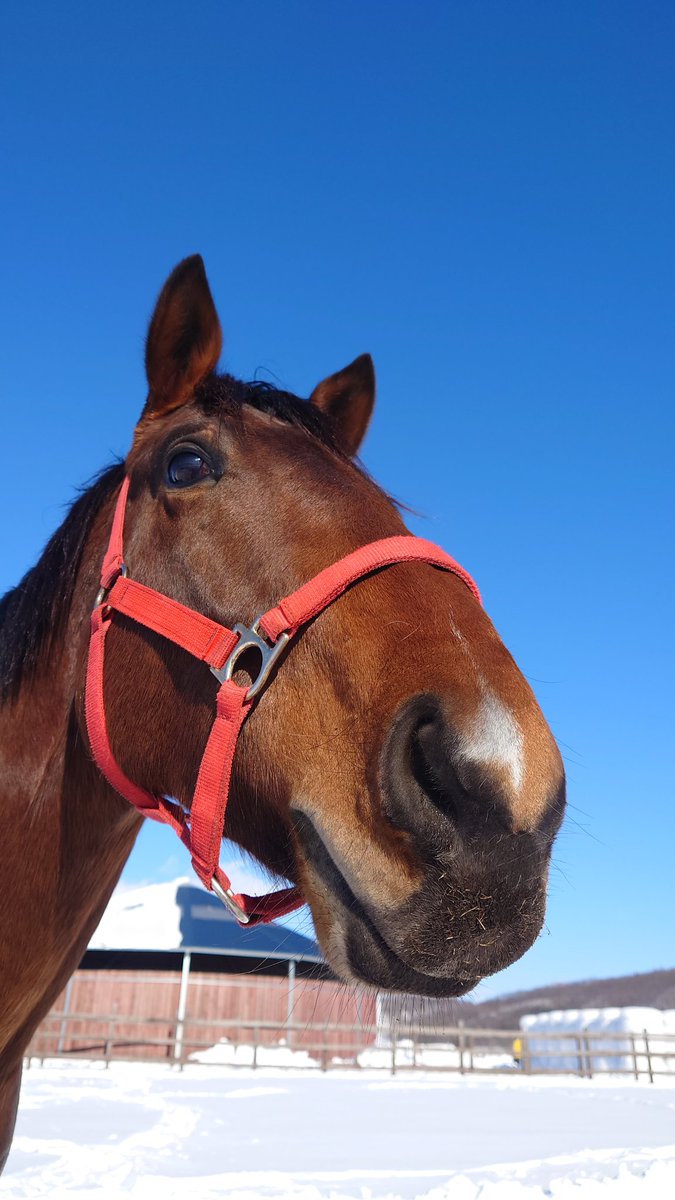 のまうま (@2shnTupuwN20392) / Posts / X