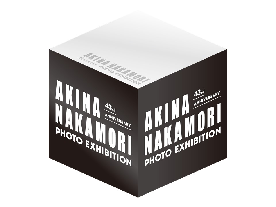 【新品】中森明菜　大阪会場限定グッズ3種　オフィシャルロゴメモブロック帳他 大阪会場追加アイテム】オフィシャルロゴメモブロック帳 本イベント