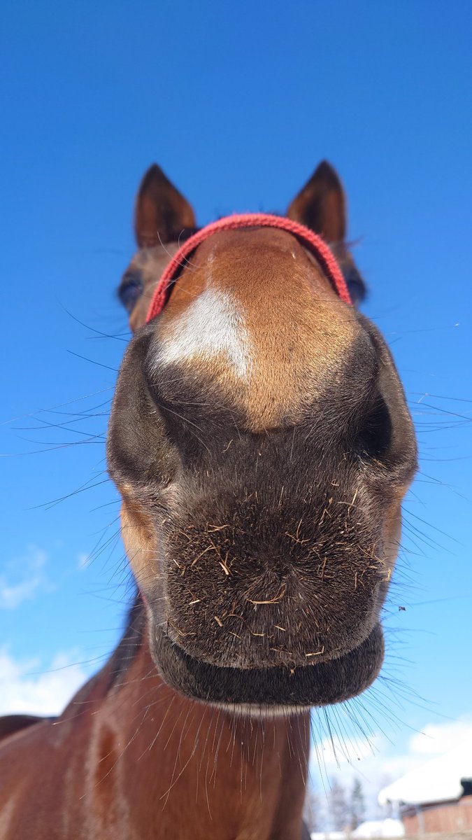 のまうま (@2shnTupuwN20392) / Posts / X