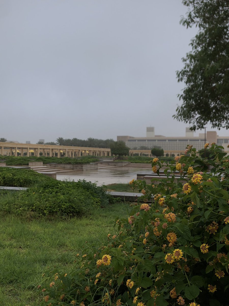 Sara Albaqami🌻 tweet media