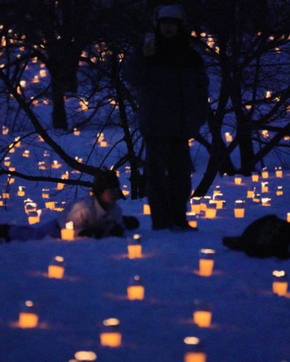 見に行くイベントじゃなくて“つくる”イベント💖 あなたの一灯が景色の