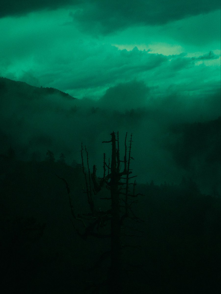 iiillevens tweet media