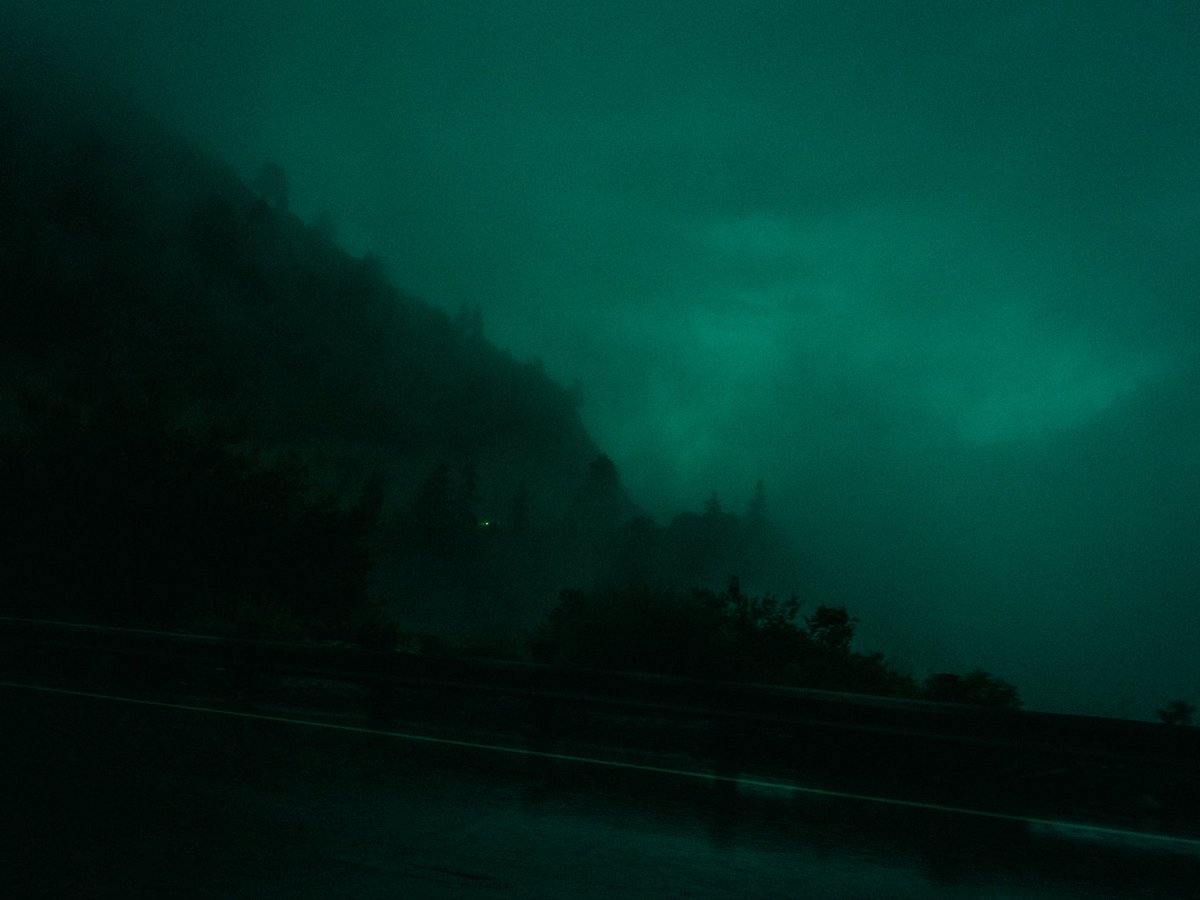 iiillevens tweet media