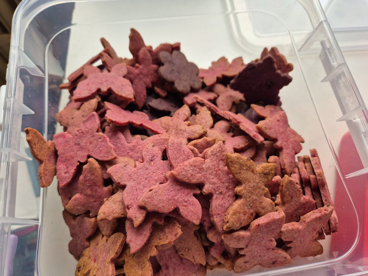 Christmas baking, Czechia. Only recently discovered the pink ones but will be making them again next year! Some Harry Potter biscuits of course.