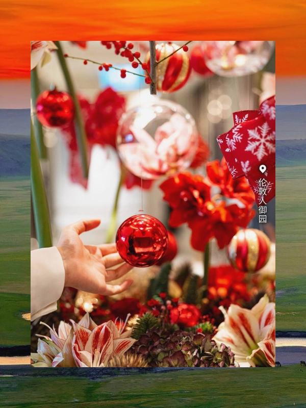 🎉 🎉 🔥 731061230