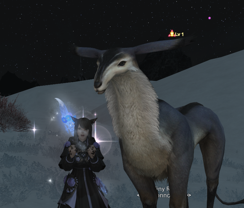 Quardread's tweet image. this is just like meeting a celebrity 🔥🌋