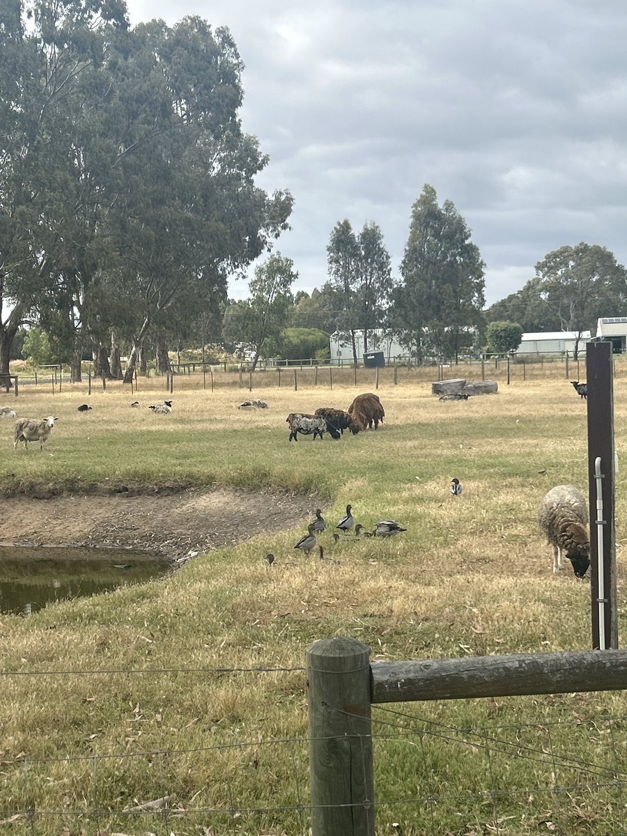 Brody 🥀 tweet media