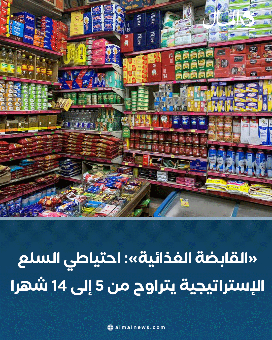«القابضة الغذائية»: احتياطي السلع الإستراتيجية يتراوح من 5 إلى 14 شهرا. للتفاصيل 