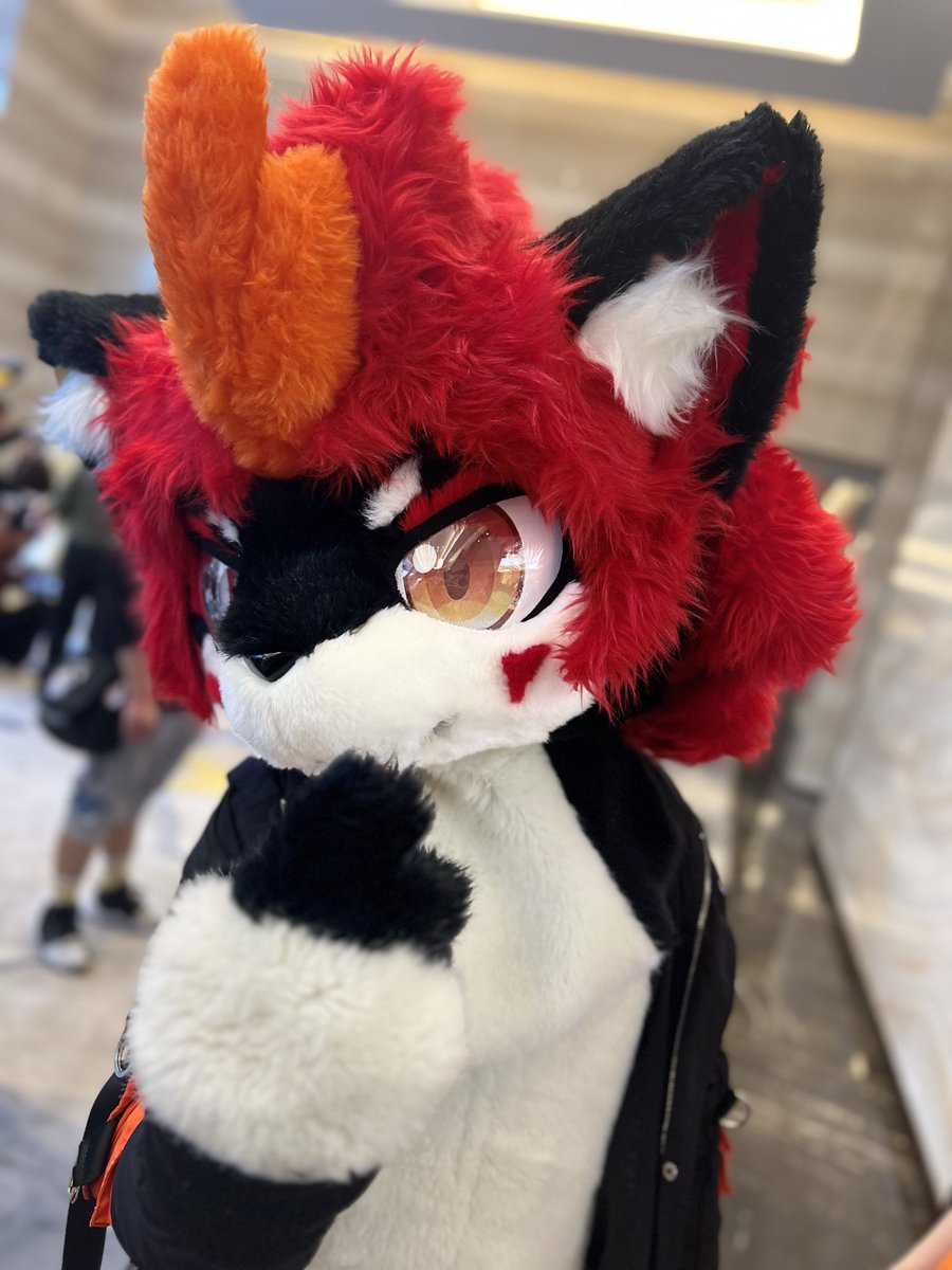 猇犽 tweet media
