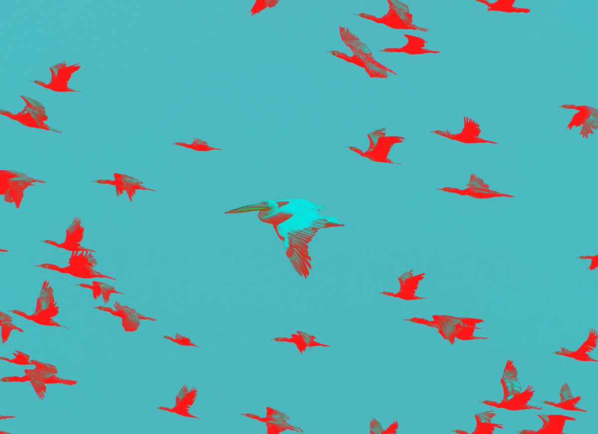 Hoe zorg je voor een soepele hostingmigratie dat tientallen of zelfs honderden applicaties veilig en gecontroleerd verhuisd? Je leest het in ons nieuwste kennisartikel!
dutchlaravelfoundation.nl/kennis/hosting…