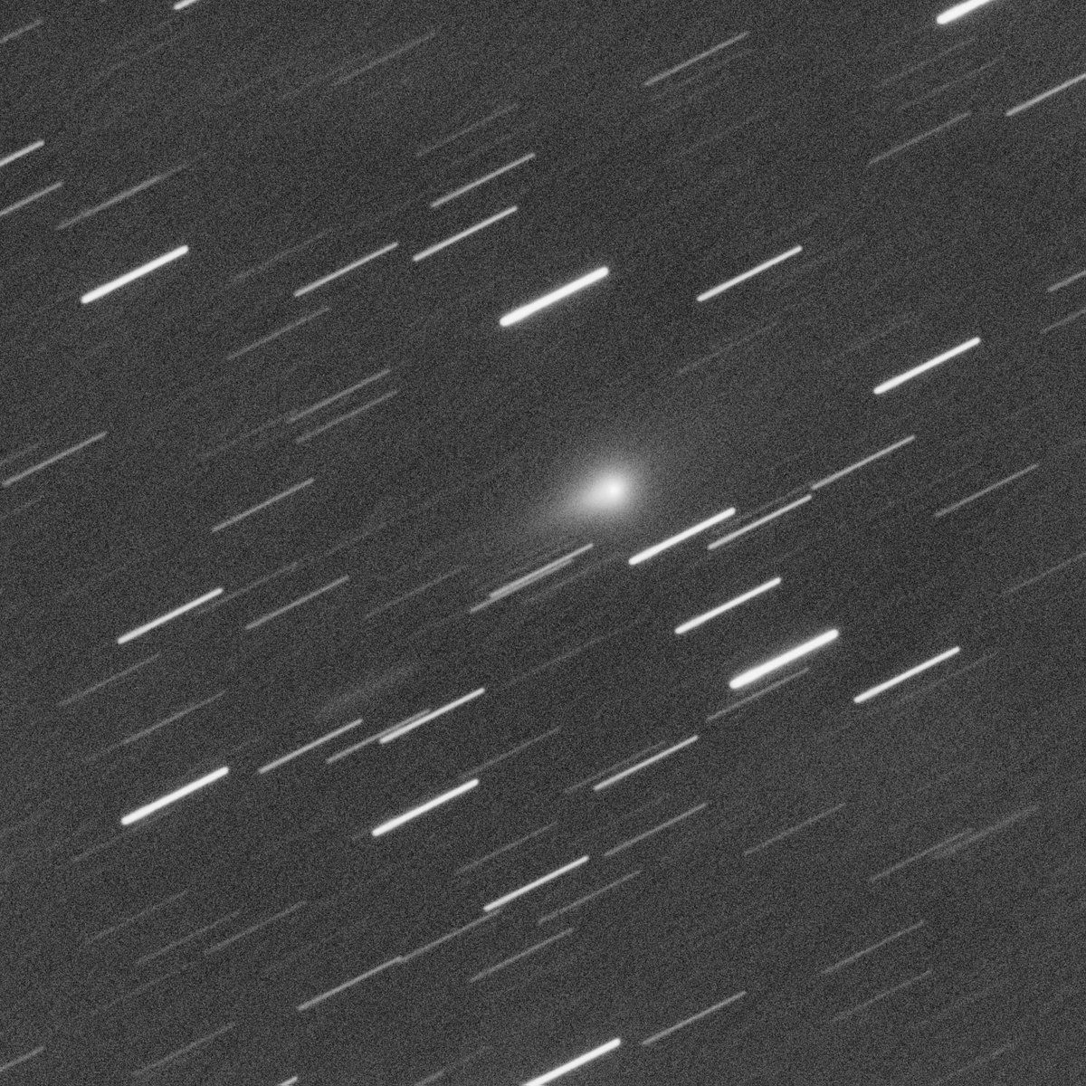 3I(ATLAS) アトラス彗星 2025.12.17 2h36m(JST) 30secx118 D:25cmF5N