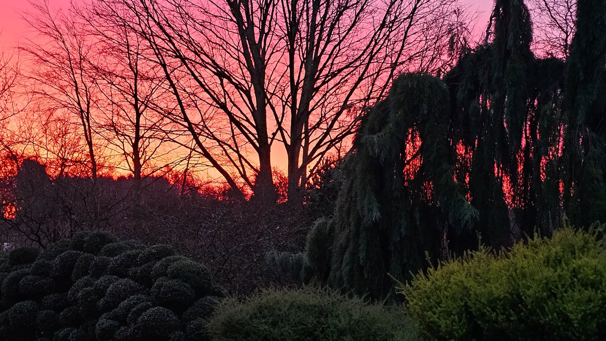 A beautiful sunrise over South Staffordshire this morning.
